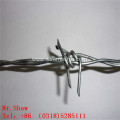 PVC Coated Welded Wire Mesh Fence